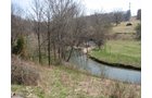 Property photo 7 - 137 Acres in 2 Tracts - 64 Tillable Acres, Potential Building Sites, Hunting